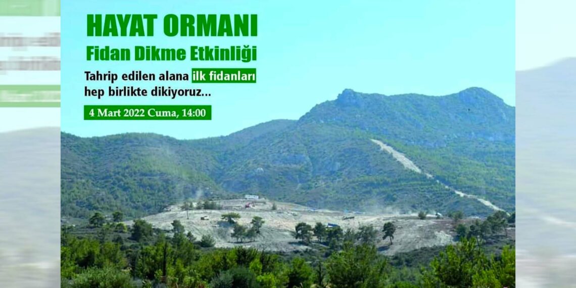 Hayat Ormanı’na ilk fidanlar dikiliyor