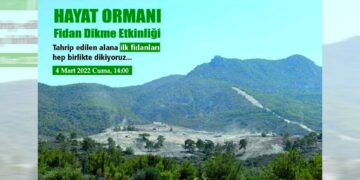 Hayat Ormanı’na ilk fidanlar dikiliyor