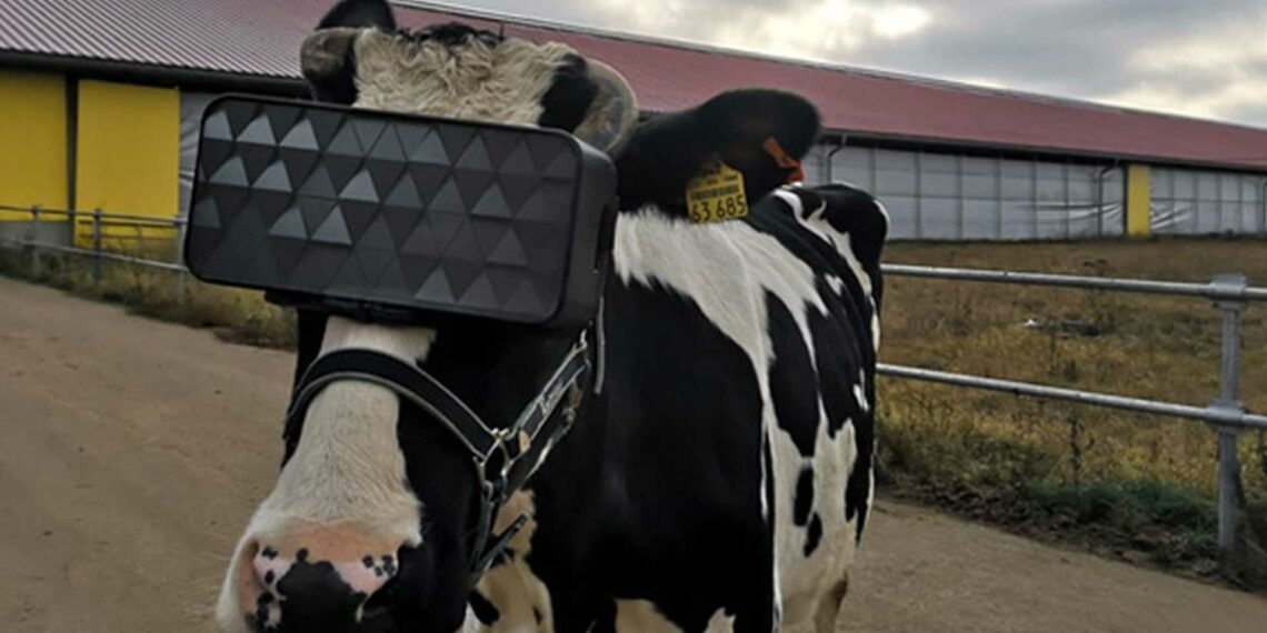 Geleceğin inekleri biz miyiz? – Esther Leslie