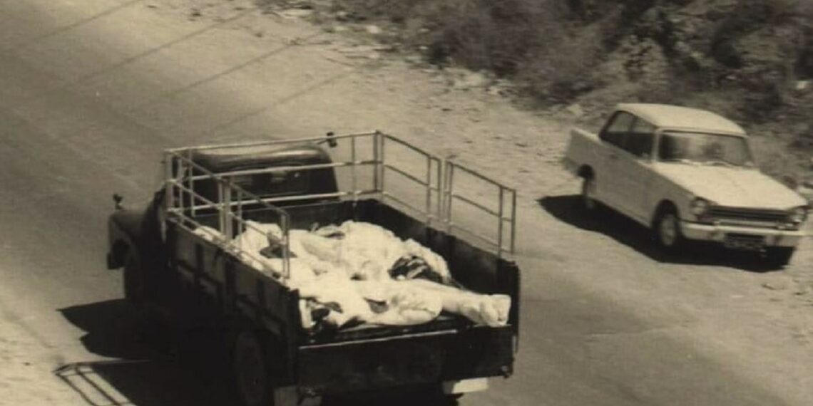 Kıbrıs: 15 Temmuz 1974 ve Bir Fotoğraf