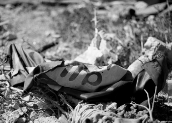 IŞİD Türkiye’de mi örgütleniyor?