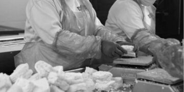 Almanya’da tescilli olmayan hellimlere el konuldu