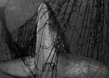 Biyoçeşitliliğinin korunması hayati öneme sahip