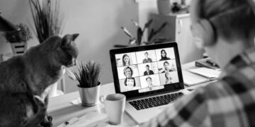 Hollanda’da evden çalışmak yasal hak haline geliyor