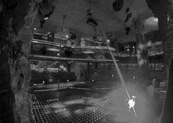 Bazı vekiller gece kulüplerinin müşterileri arasında