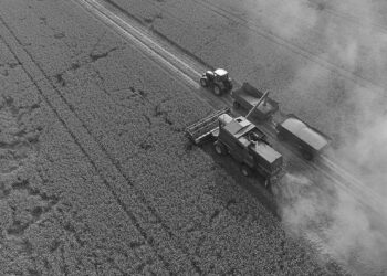 İklim değişikliğine dayanıklı mahsuller yetiştirmek mümkün mü? | Video