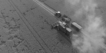 İklim değişikliğine dayanıklı mahsuller yetiştirmek mümkün mü? | Video