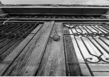 Suriçi Sokaklarında Saklı Kalmış Bir Kadın Hikayesi-II | Nuray Özgeçen