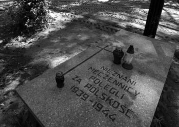 Polonya’da Nazi kurbanı 8 bin kişinin külleri bulundu