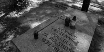 Polonya’da Nazi kurbanı 8 bin kişinin külleri bulundu