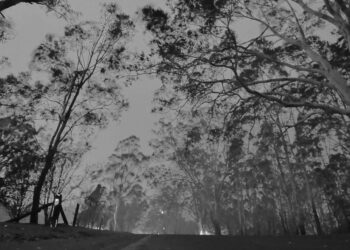 Haziran ayında Kuzey Kutup Dairesi’nde orman yangınları olağandışı şekilde arttı