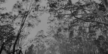 Haziran ayında Kuzey Kutup Dairesi’nde orman yangınları olağandışı şekilde arttı