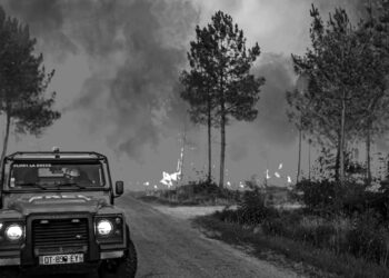 Akdeniz ülkeleri orman yangınları ve sıcakla mücadele ediyor