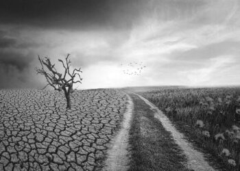 Zengin ülkeler iklim finansmanı hedefine ulaşamadı