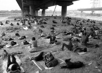 Bilim insanları, insan türünün yok olma senaryolarının çalışılmasını istedi