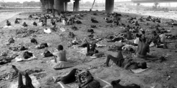 Bilim insanları, insan türünün yok olma senaryolarının çalışılmasını istedi