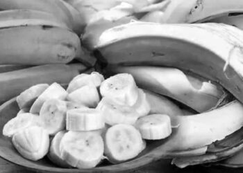 Şükran ekonomisinin de bir sınırı var | Mertkan Hamit