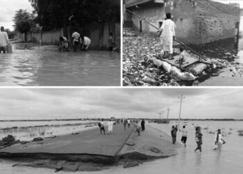 İklim krizi | Üç kıtada aşırı yağış ve seller