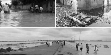 İklim krizi | Üç kıtada aşırı yağış ve seller