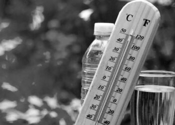 İklim inkarcıları, aşırı sıcaklarla ilgili sahte verileri dolaşıma soktu: Bağlamından koparılıyor