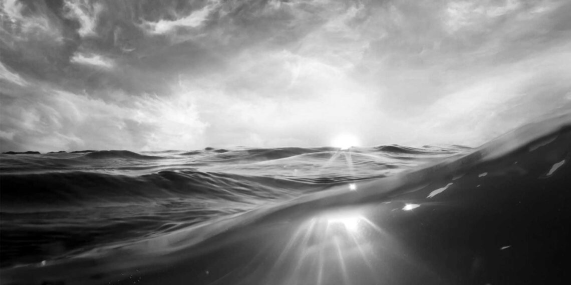 Akdeniz’de deniz yaşamı tehlikede: Kıbrıs’ta su sıcaklığı 31 derecenin üstüne çıktı