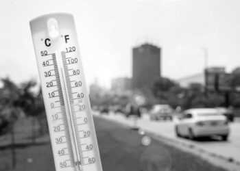 Dünya kavruluyor: Tokyo 36, Bağdat 50 dereceyi gördü, Birleşik Krallık kuraklık önlemi alıyor