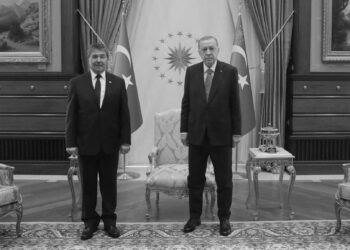 Ağustos sonuna kadar protokolün yüzde değil, on binde üçü yerine getirildi | Mertkan Hamit