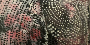 Rengi maviydi – Balin Palmer