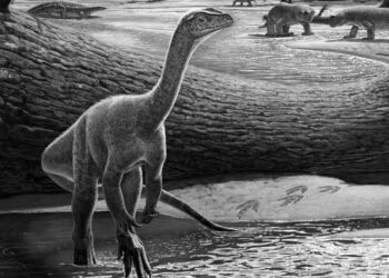 Afrika’daki en eski dinozor fosili Zimbabve’de keşfedildi