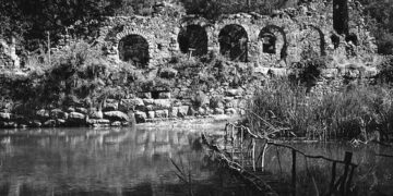 Temmuzların deniz 🌊 – Tevfik Aytekin