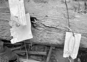 Akkuyu Nükleer Santrali’nde mühürlerin söküldüğü iddia edildi