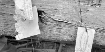 Akkuyu Nükleer Santrali’nde mühürlerin söküldüğü iddia edildi