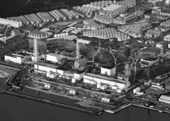 Nükleer enerji yeniden gözde oluyor – Velid Haduri