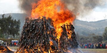 Kıbrıs ve bölgemiz tüm silah ve askerlerden arındırılmalıdır | Abdullah Korkmazhan