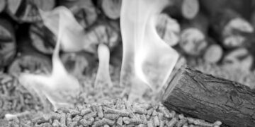 Greta ve aktivistler yazdı: Enerji için orman yakmak ‘yenilenebilir’ değil