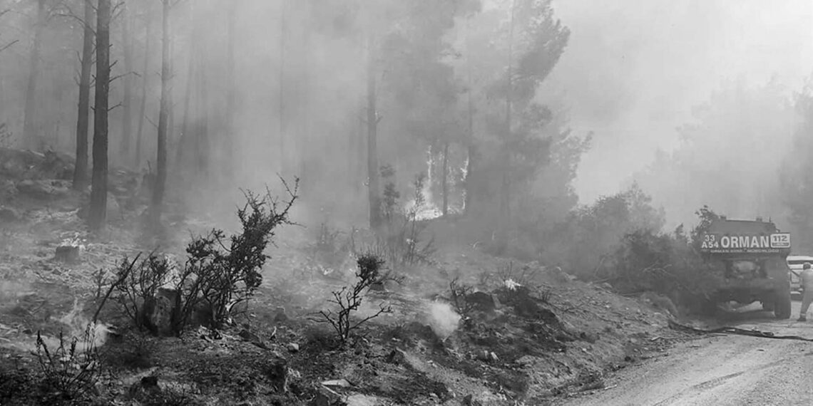 Mersin’de yangın büyüyor: Akkuyu NGS’ye 2,11 kilometre mesafede