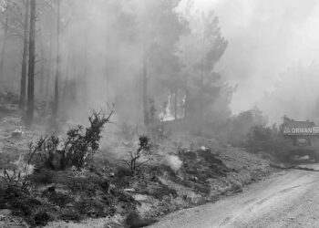 Mersin’de yangın büyüyor: Akkuyu NGS’ye 2,11 kilometre mesafede