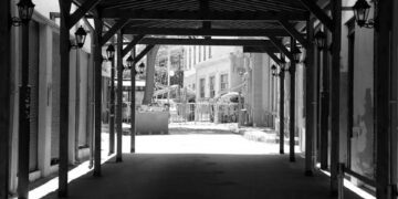 Güneyin adanın kuzeyine dönük ekonomik etkisi 100 milyon Euronun üzerinde | Mertkan Hamit