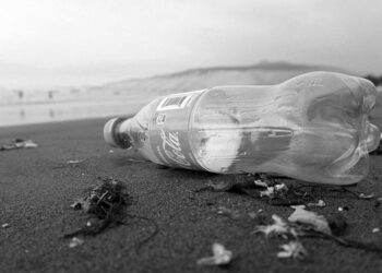 BM İklim Değişikliği Konferansı’nın sponsoru Coca Cola oldu