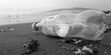 BM İklim Değişikliği Konferansı’nın sponsoru Coca Cola oldu