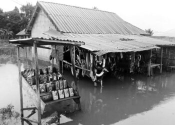 Nijerya’da sel nedeniyle 603 insan hayatını kaybetti: Risk sürüyor