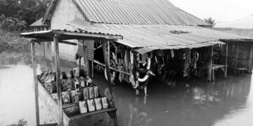 Nijerya’da sel nedeniyle 603 insan hayatını kaybetti: Risk sürüyor