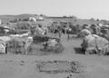 Somali’de 1 milyon kişi kuraklıktan etkilendi
