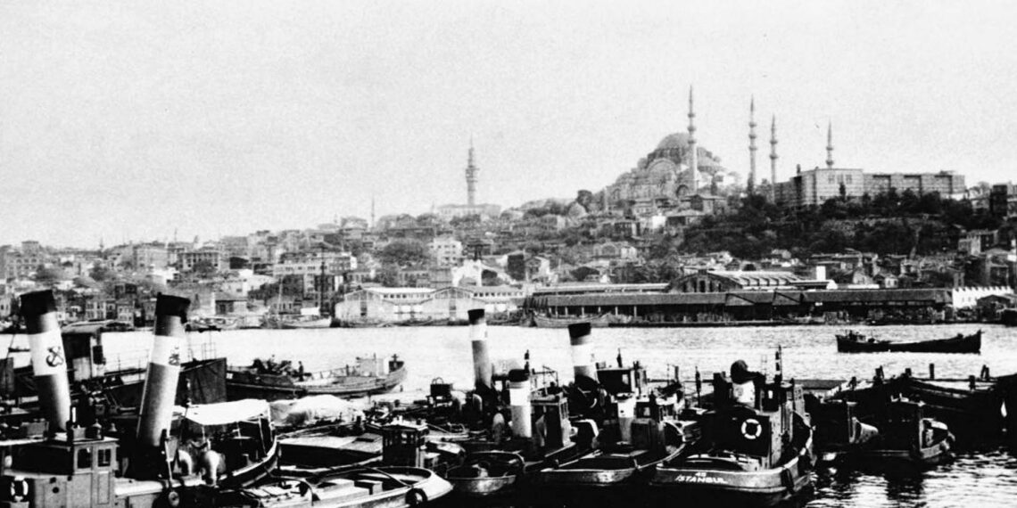 Hesabı veril(e)meyen acılar unutulur mu?[*] – Sibel Ozbudun – Temel Demirer 