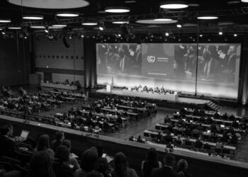 Zirveye iklim krizinden en çok etkilenen on ülkenin temsilcisinden çok fosil yakıt lobicisi kaydoldu