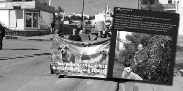 Hayvan katliamına tepki için bile başka bir coğrafyayı tercih etti