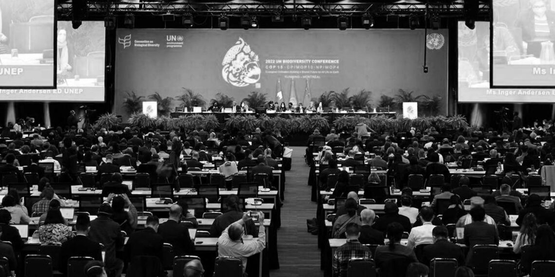 Tarihi anlaşma: Dünya’nın yüzde 30’u koruma altına alınacak