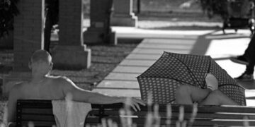 Son 8 yıl şimdiye kadar kaydedilen en sıcak dönem oldu