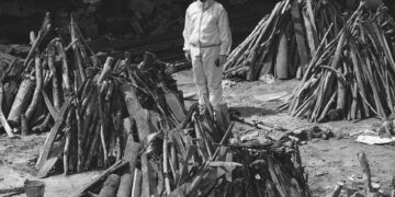 Türkiye’de Covid ölümleri ile ilgili yalan beyan yapıldığı açıklandı