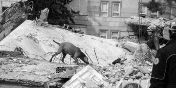 Köpekler arama kurtarma faaliyetlerinde hayati rol oynadı